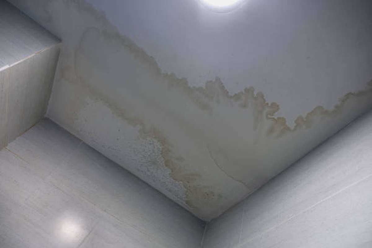 does a water stain ceiling mean mold 2