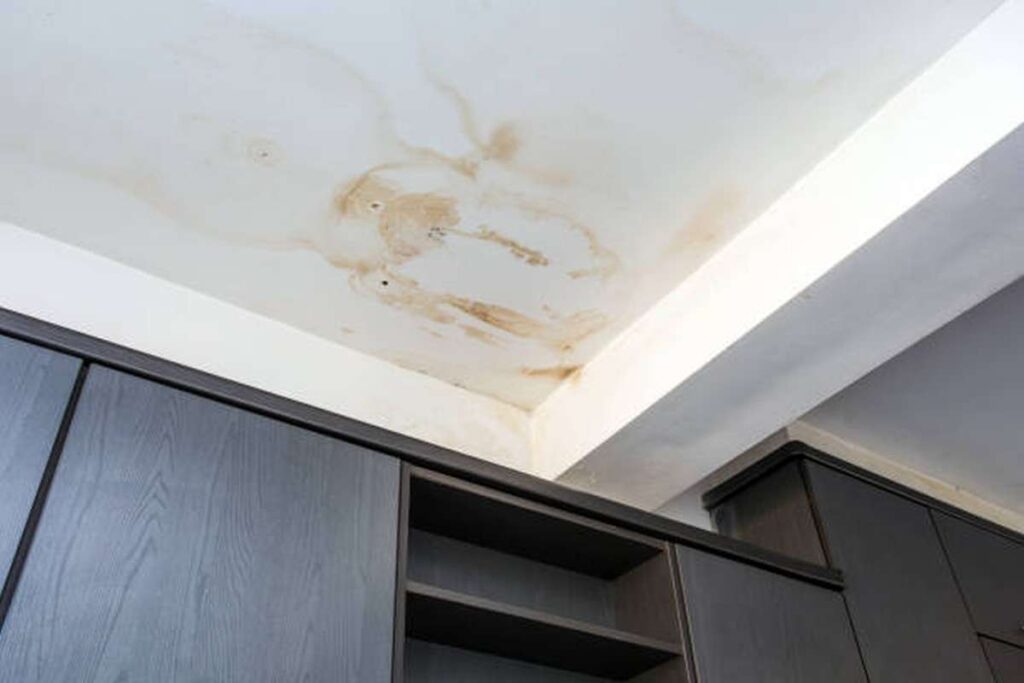 does a water stain ceiling mean mold 3