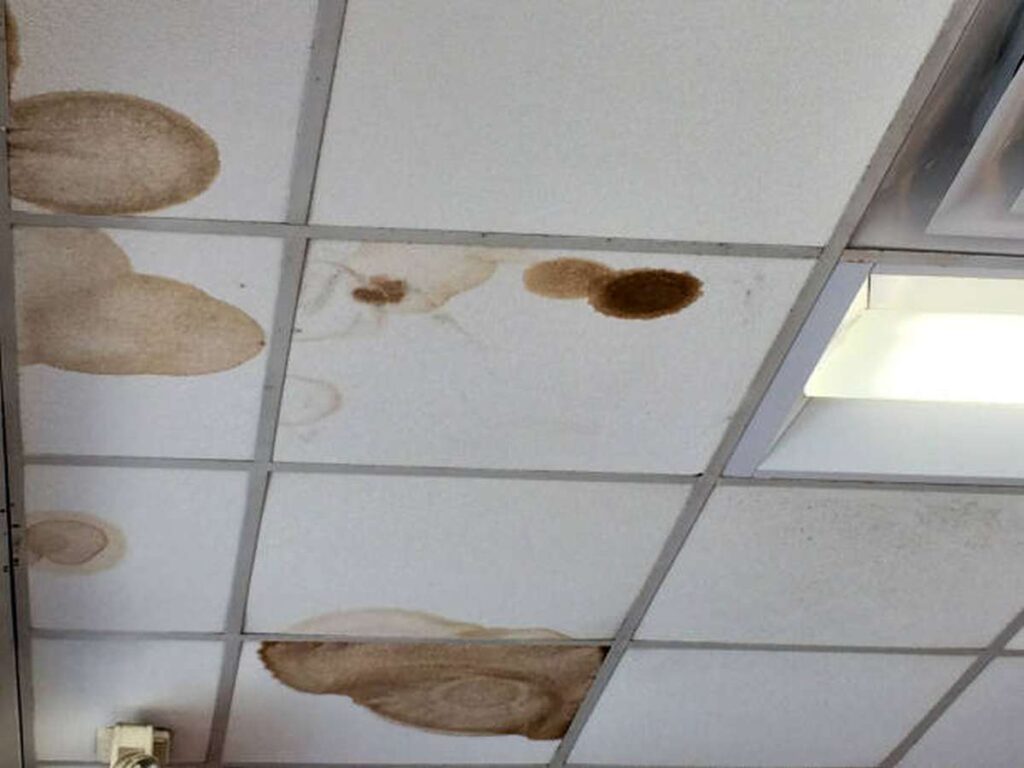 how long does it take for a ceiling to dry after a leak 3