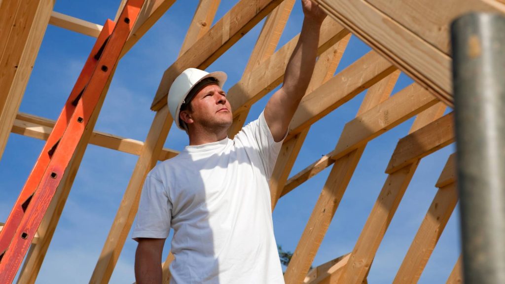 timber building inspections